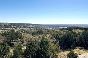Une vue panoramique avec une forêt dense au premier plan et une ville lointaine.