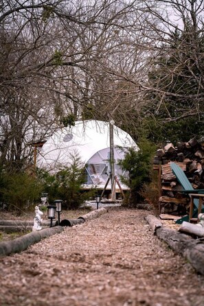 A pathway leading to a geodesic dome structure surrounded by trees and logs.
