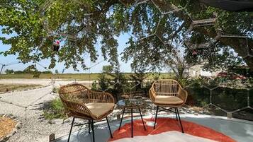 Un espace extérieur aménagé avec deux fauteuils en osier et une table, entouré d’arbres et sous un ciel dégagé.