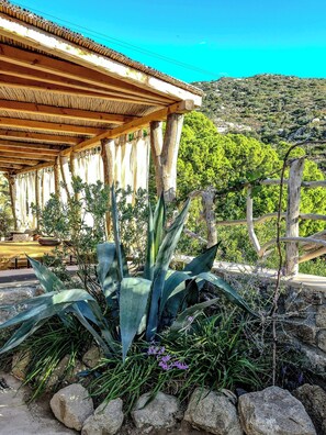 Property grounds - Vintage house with terrace on the Elba Island (Seccheto)
