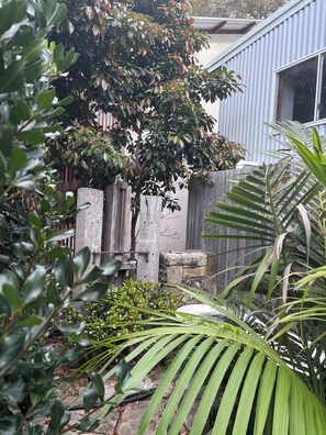 Property grounds - Cozy beach cottage with elevated north facing beach views (MacMasters Beach)