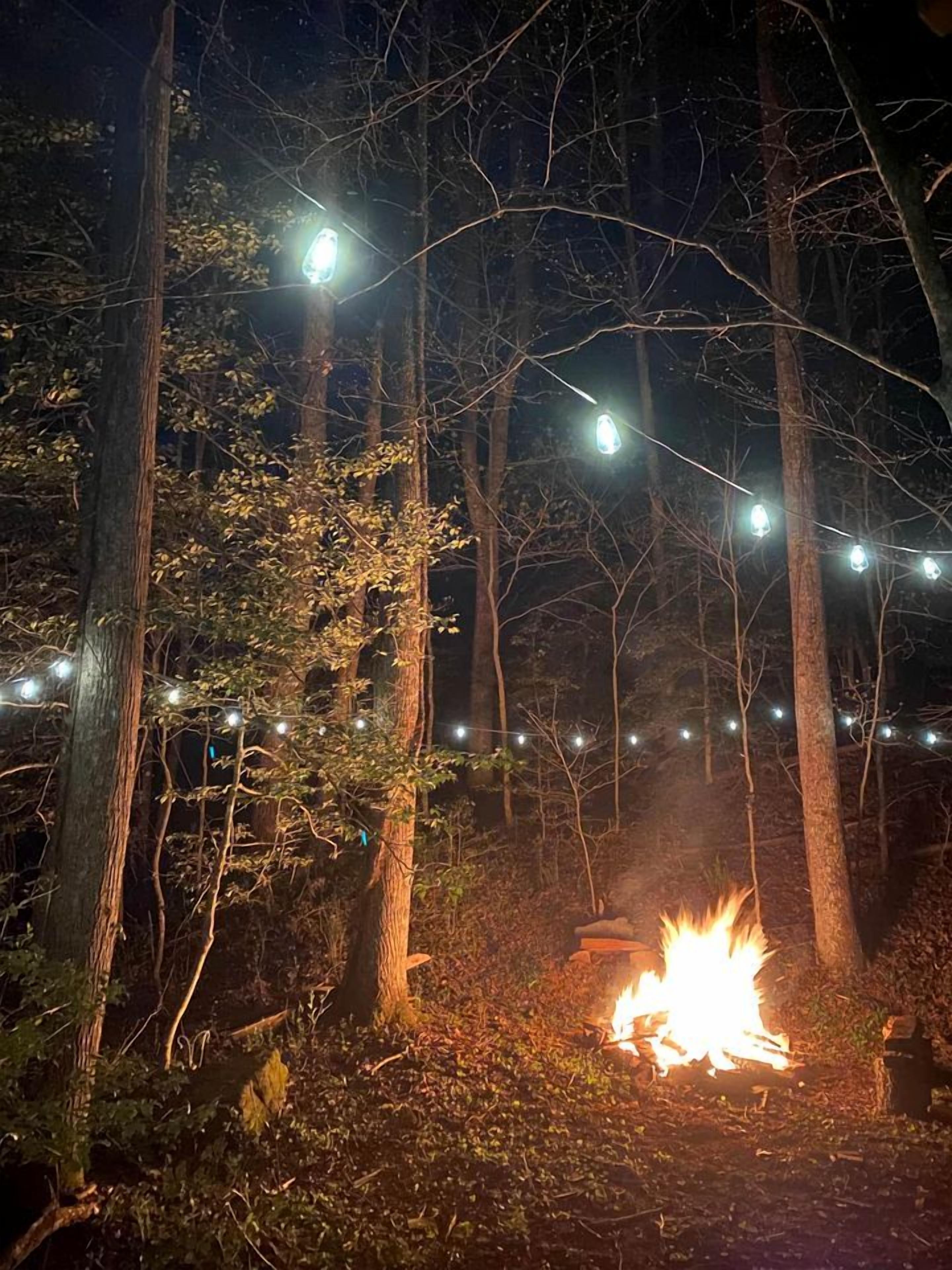 A forest with a campfire and string lights.