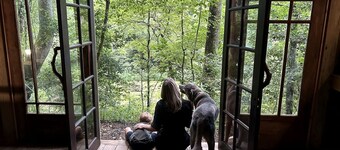 Unique Barnwood Cabin Retreat with Fire Pit and Outdoor Adventure in Zirconia, North Carolina