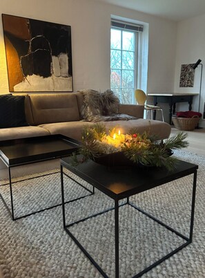 TV, fireplace - Holiday home between two seas in Skagen (Skagen)