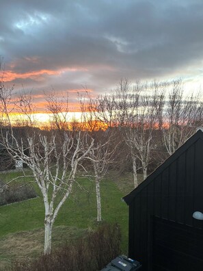 Property grounds - Holiday home between two seas in Skagen (Skagen)
