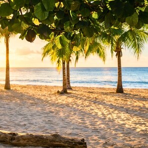 Accommodatie ligt op het strand, wit zand, een strandbar