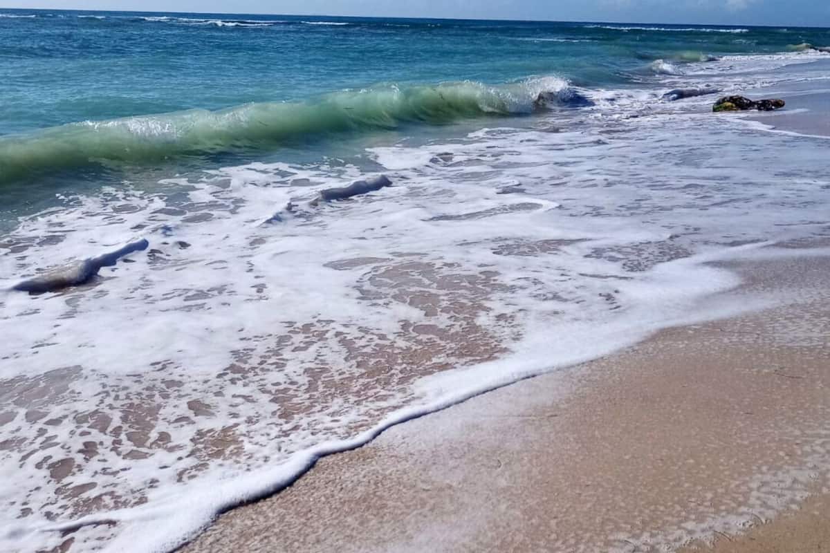在海滩、白沙、间海滩酒吧