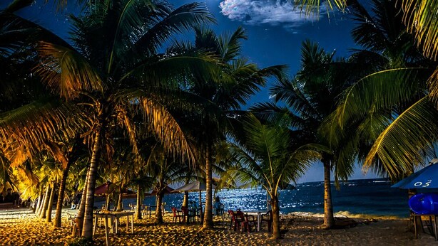 Una playa con palmeras, la luna y una vista distante del océano.