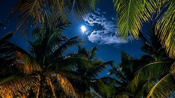 On the beach, white sand, beach bar