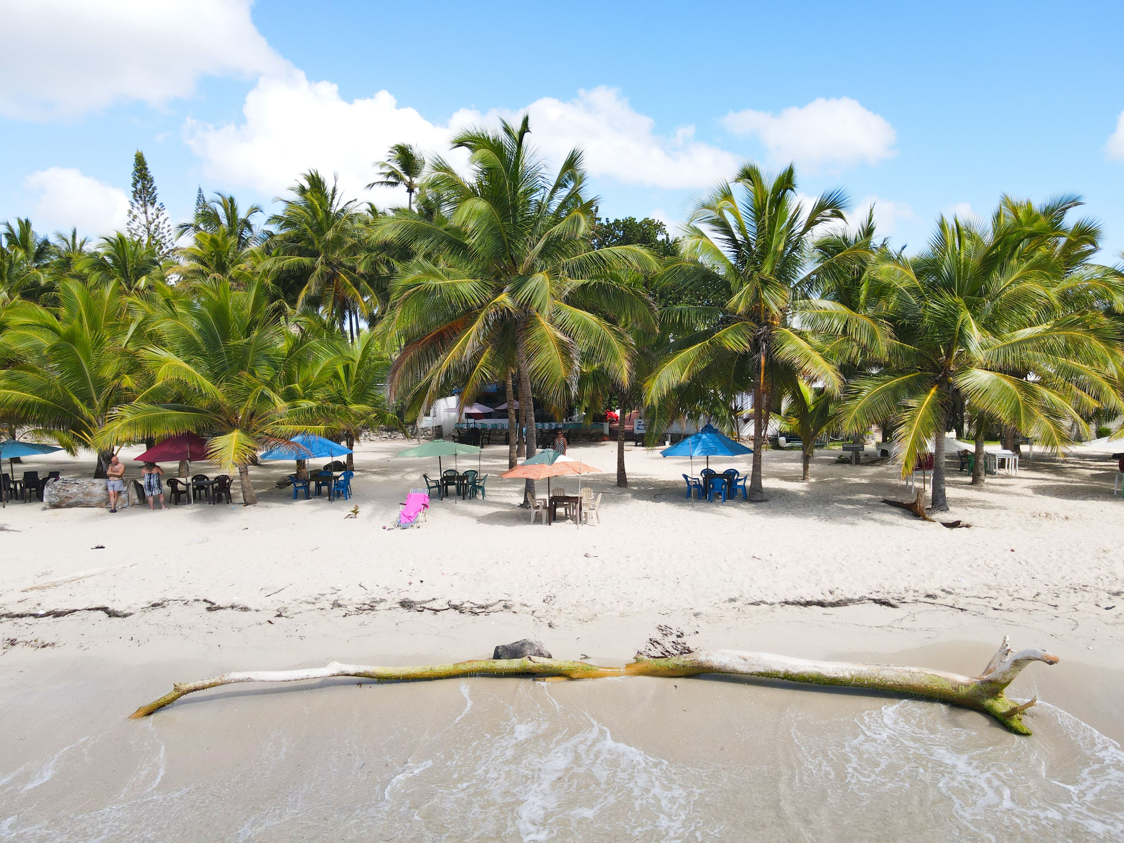 Una playa con palmeras, una zona de arena y algunos paraguas.