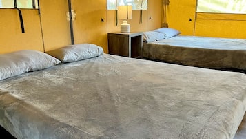 A room with two beds, a nightstand with a lamp, and a window with a view.