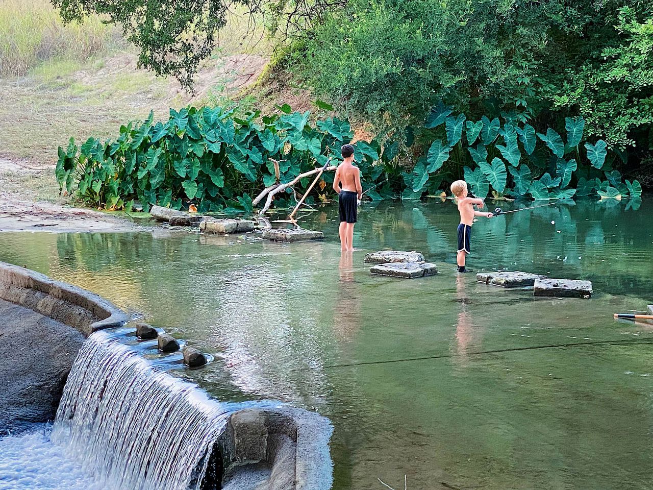 Eine natürliche Wasserattraktion mit einem kleinen Wasserfall, umgeben von üppigem Grün.
