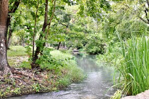 A river flowing through a wooded area with trees and greenery.