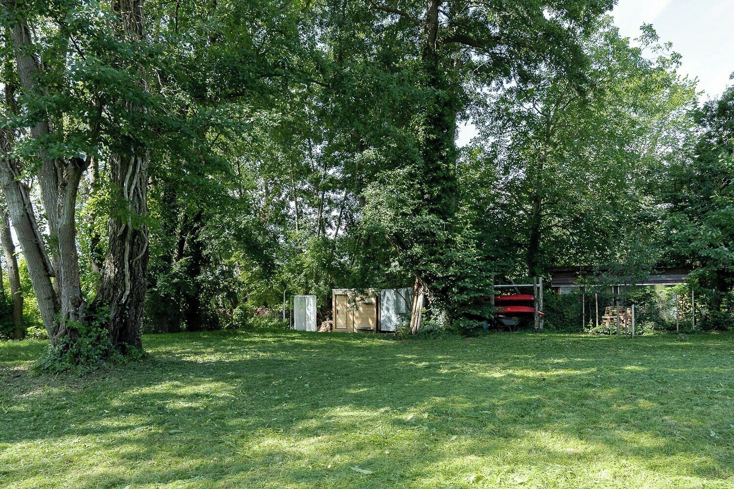 Une cour verdoyante avec des arbres, un abri de jardin et une petite construction.
