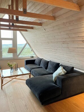 TV, fireplace - Architect-designed gem at the West Coast (Pandrup)
