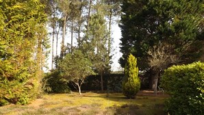 A garden with various trees and shrubs, a clear sky, and a well-maintained lawn. - Welcoming villa, pets allowed - 6 guests (Vielle-Saint-Girons)