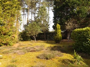 Property grounds - Welcoming villa, pets allowed - 6 guests (Vielle-Saint-Girons)