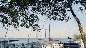 Ein Yachthafen mit mehreren dort vertäuten Segelbooten, umgeben von Bäumen.