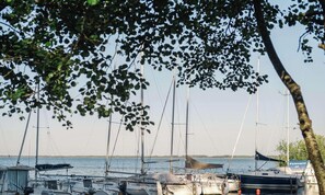Ein Yachthafen mit mehreren dort vertäuten Segelbooten, umgeben von Bäumen.