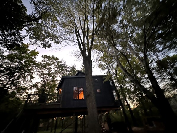 A treehouse with a small window, surrounded by dense forest.