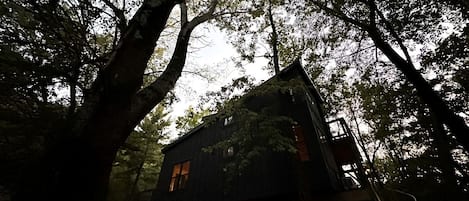 Una cabaña tipo casa del árbol rodeada de un bosque denso.