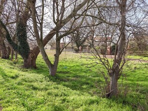 A grassy area with trees, a swing, and a fence in the background. - Lamb Cottage (Billingham)