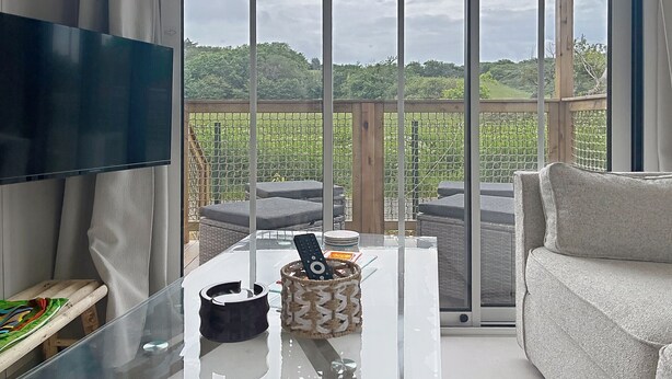 Een moderne woonkamer met een grote televisie, een glazen salontafel, een bank en uitzicht op een wijngaard door grote ramen.