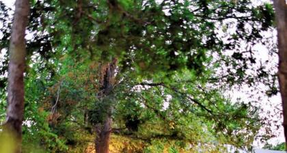 Beautiful Tented Cabin by a Creek - Ideal for a Fun Family Vacation in Seguin, Texas