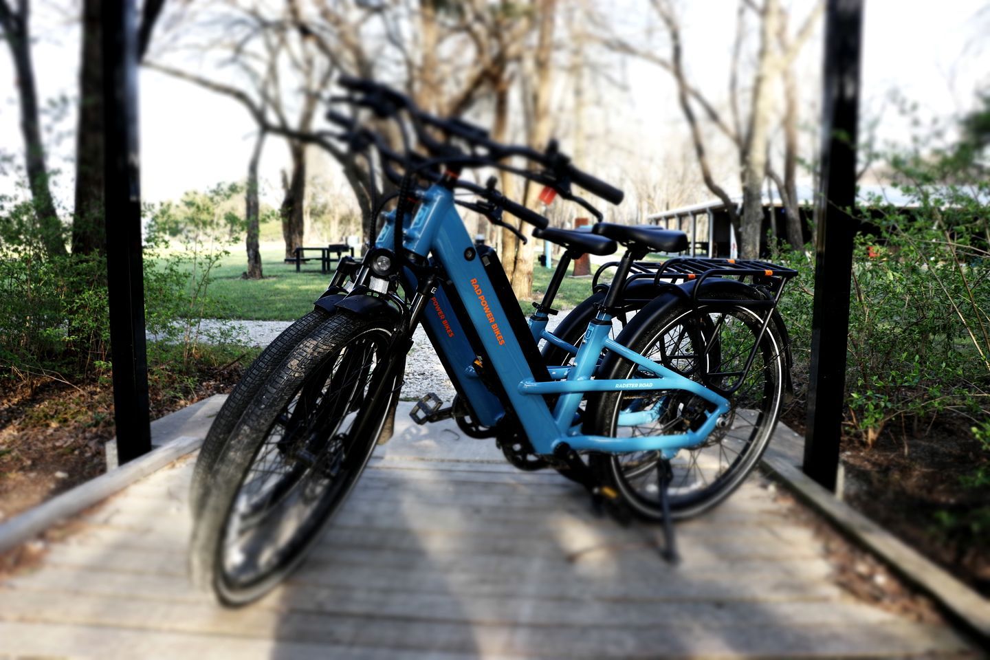 Una bicicleta eléctrica azul estacionada en un paseo marítimo de madera con barandilla metálica, rodeada de árboles y follaje.