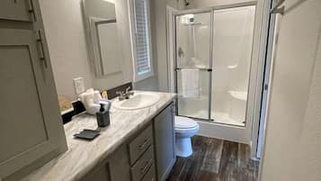 A modern bathroom with a walk-in shower, a vanity with a sink, and a toilet.