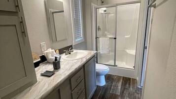 A modern bathroom with a walk-in shower, a vanity with a sink, and a toilet.