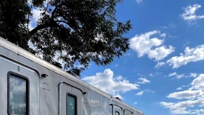 A series of mobile trailers with external shower facilities, metal stairs, and a dirt ground. - Luxurious Safari Tent, Amazing for Glamping Vacations near Seguin, Texas (Seguin)