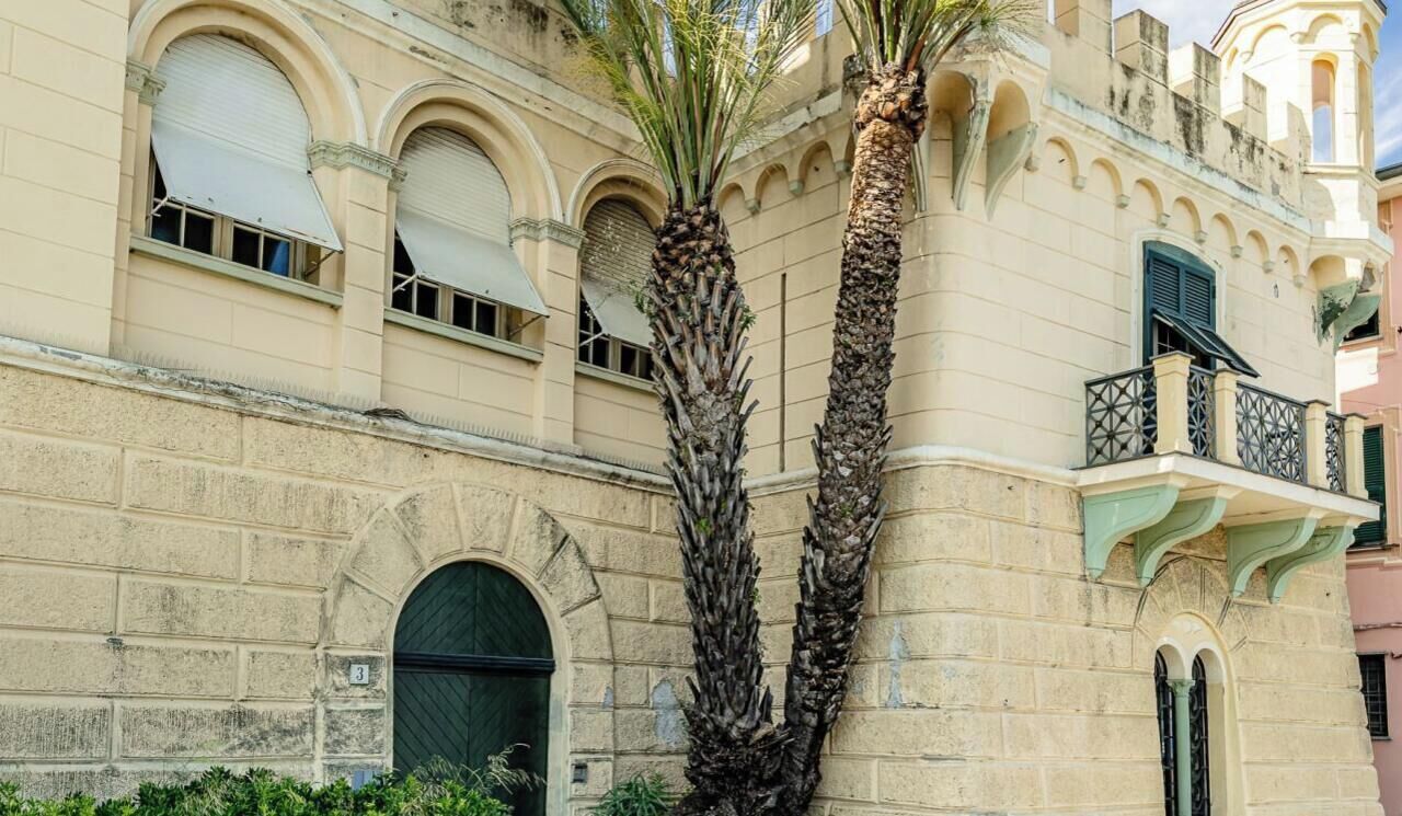 Un edificio storico con finestre ad arco, una palma e un balcone.