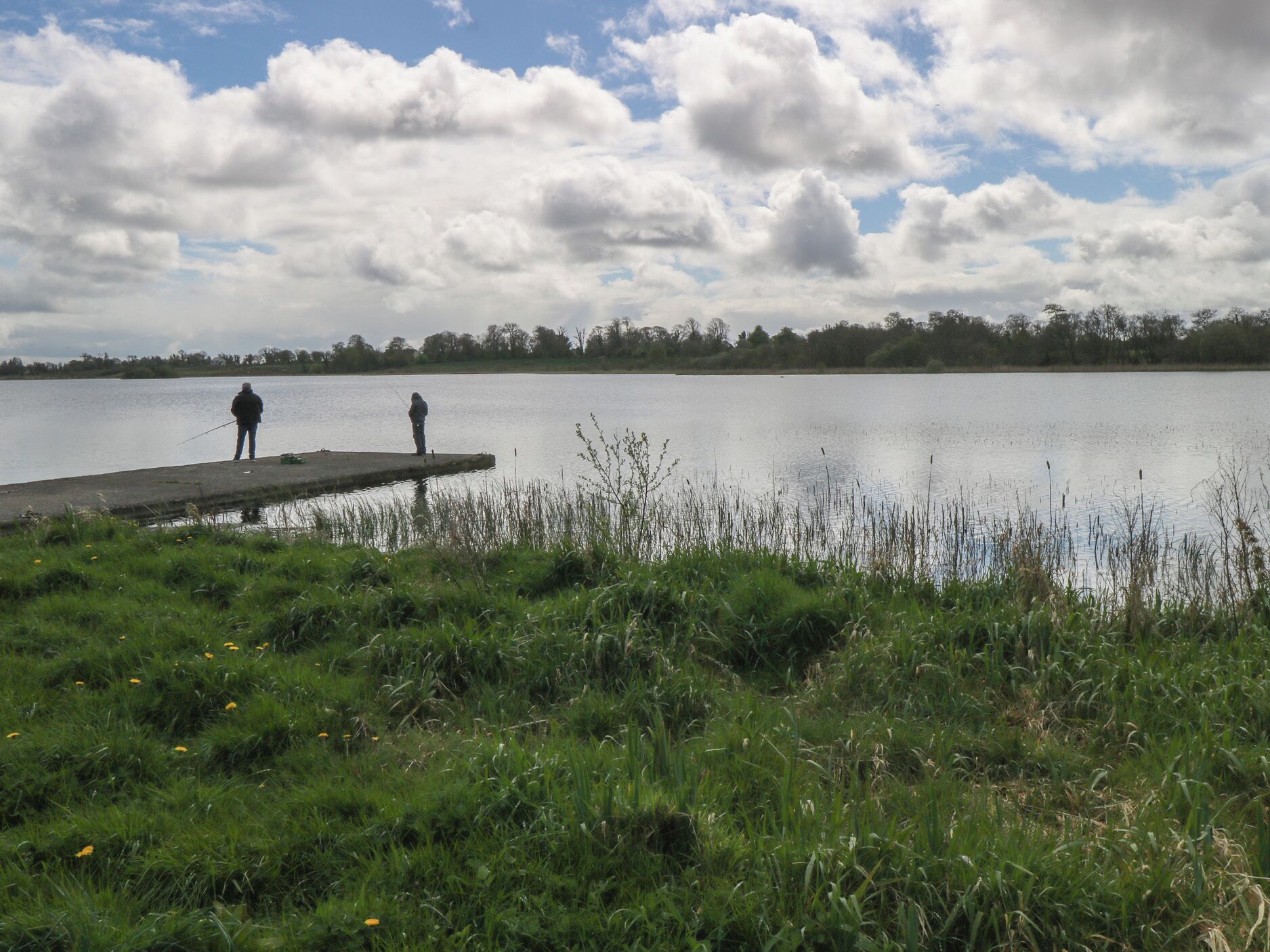 A calm lake with two people fishing on a dock, surrounded by grassy banks and trees.