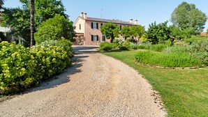 A gravel driveway leading to a house with a garden and trees. - Melloni Street Home - Lavender Room (Dolo)