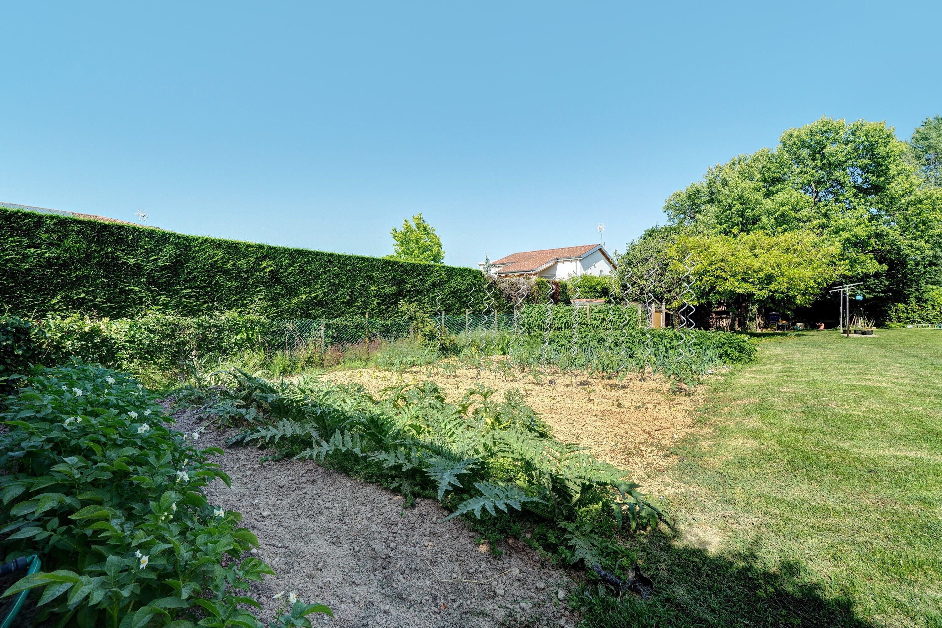 Terrein van de accommodatie