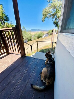 Property grounds - California Lakeview Escape: Santa Ysabel Glamping to Recharge (Santa Ysabel)
