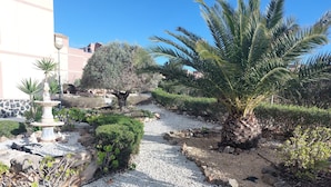Un sendero en un jardín con una fuente, palmeras y varios arbustos.