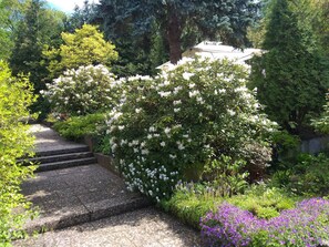 Apartment, 3 Bedrooms, Balcony | Property grounds - Idyllische Whng Mitten in der Natur "haus Magnolia (Fischbachtal)