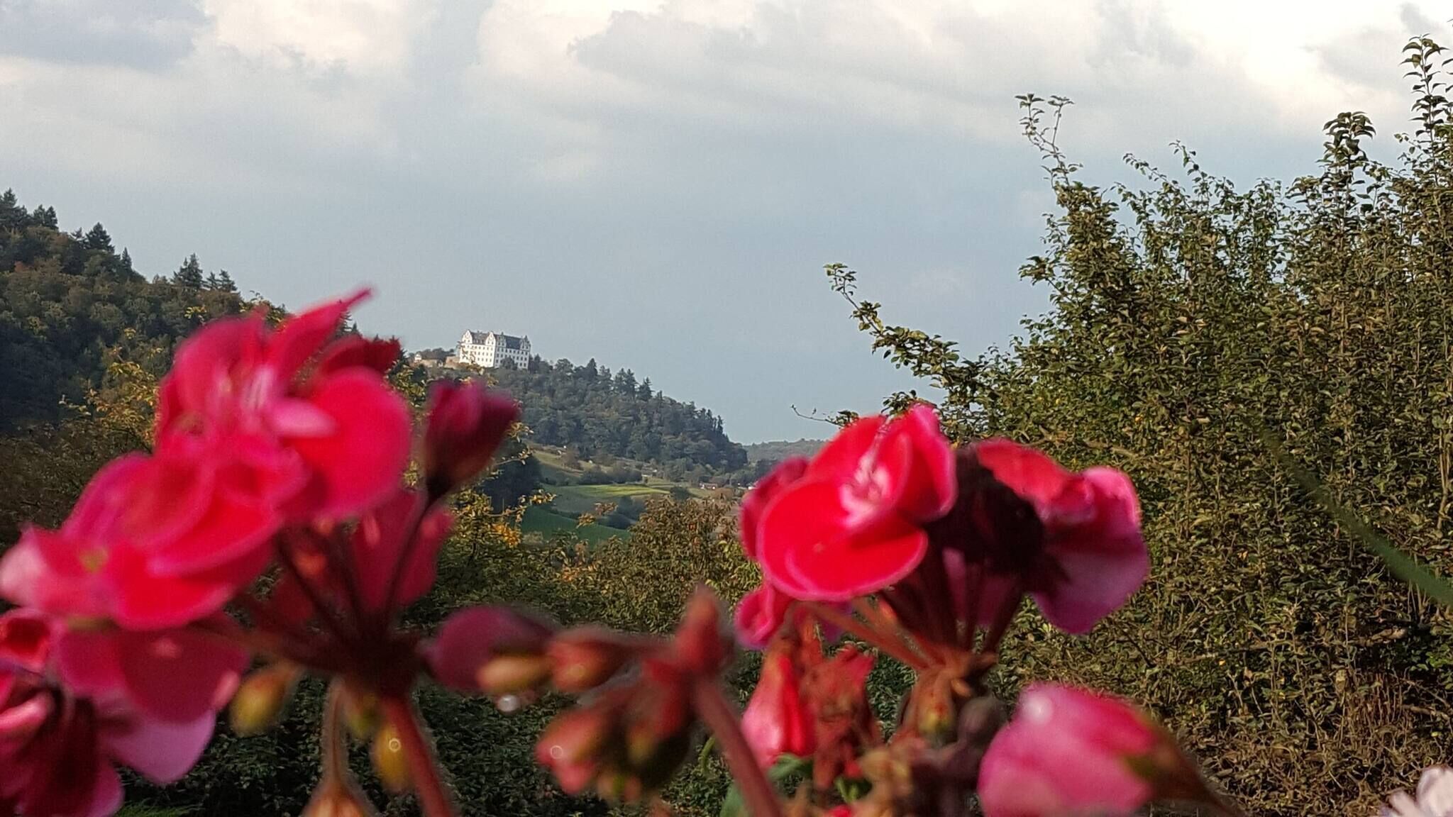 Un paysage avec une colline et un bâtiment visible au loin.