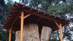 Un pabellón de madera con plataforma y barandilla, construido alrededor de un grueso tronco de árbol.