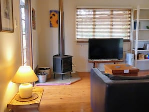 Smart TV, chimenea, reproductor de DVD y libros 