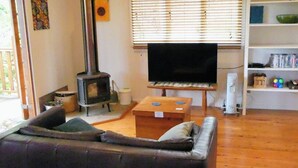 A living room with a sofa, a television, a fireplace, and a bookshelf.