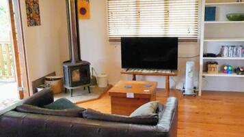 TV connectée, cheminée, lecteur de DVD, livres