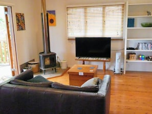 Una Smart TV, una chimenea, un reproductor de DVD, libros