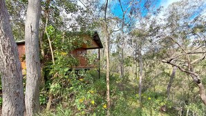 A wooden cabin surrounded by dense forest.
