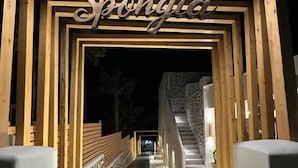 Una entrada de madera con un letrero que dice 'Spongia'.