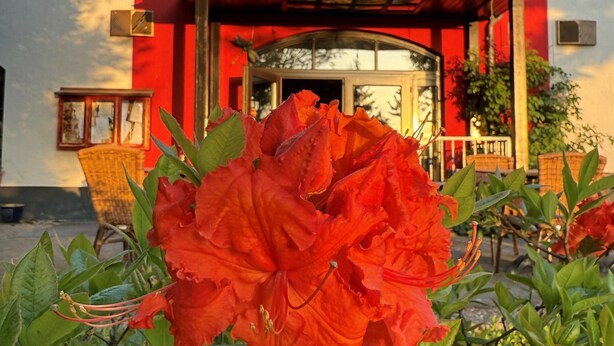 A building with a red facade, a window, and a balcony. - Lindenhof Peritz (Wuelknitz)