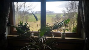 Finestra amb vistes a un paisatge rural, una planta en test i una cortina mitja oberta.