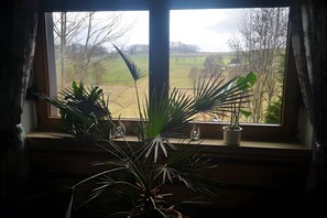 A window with a view of a rural landscape, a potted plant on the windowsill, and a curtain partially drawn. - Ideal Base for Excursions and Hikes, 70 sqm, Step-Free Access, Parking at the Apartment (Issigau)